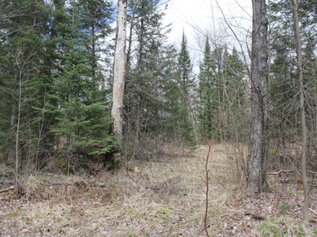 Near West Turtle Rpds Lane, Unit A B Mercer, WI 54547 - Photo 8 of 14 Gallery Image 8