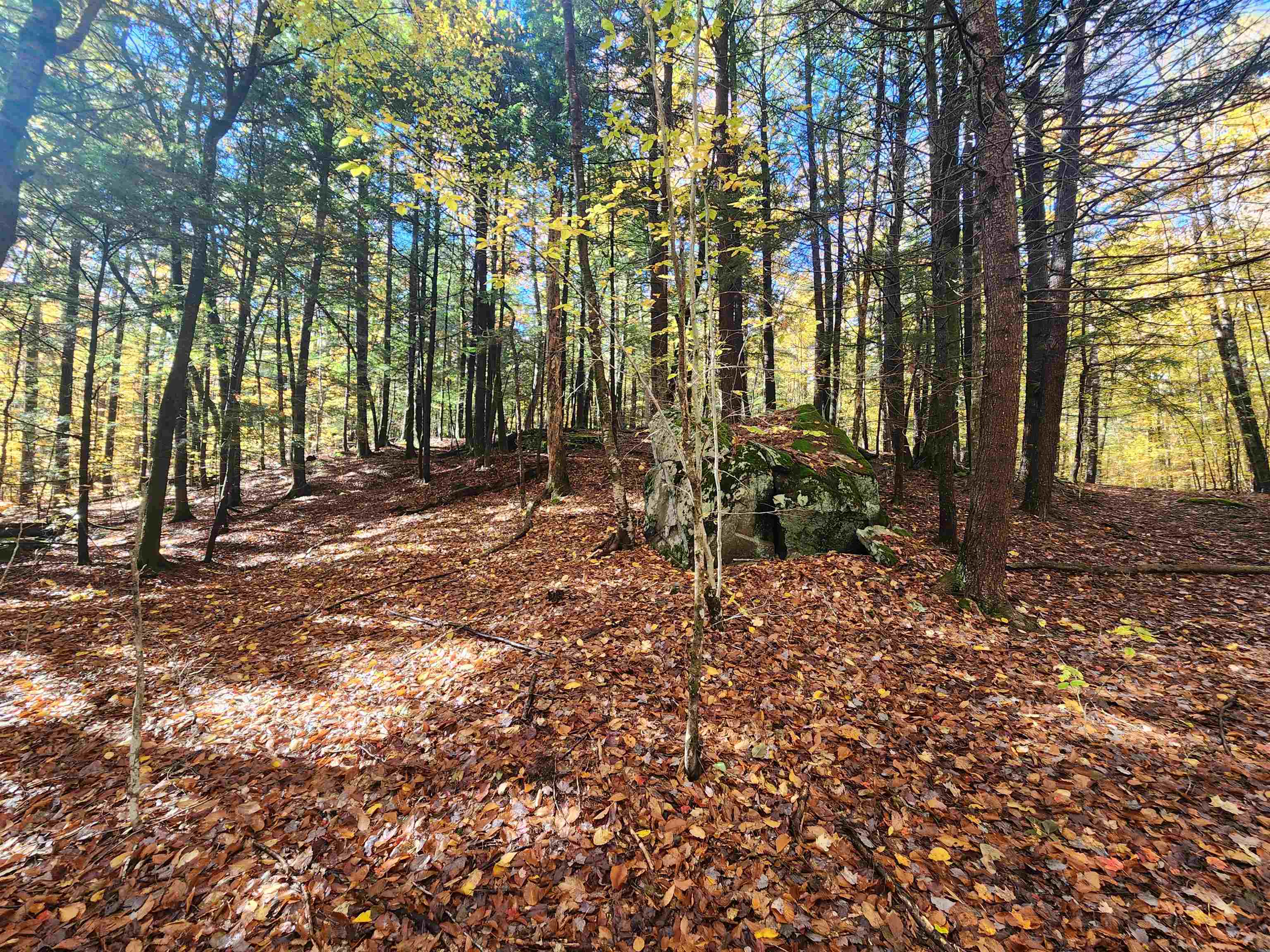 13 Calef Hill Road Tilton, NH 03276 - Photo 10 of 29 Gallery Image 10
