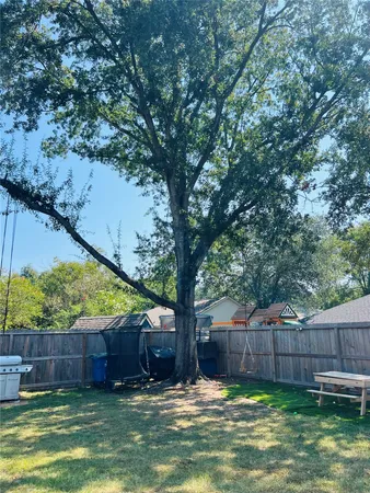a view of a backyard with a large tree and wooden fence