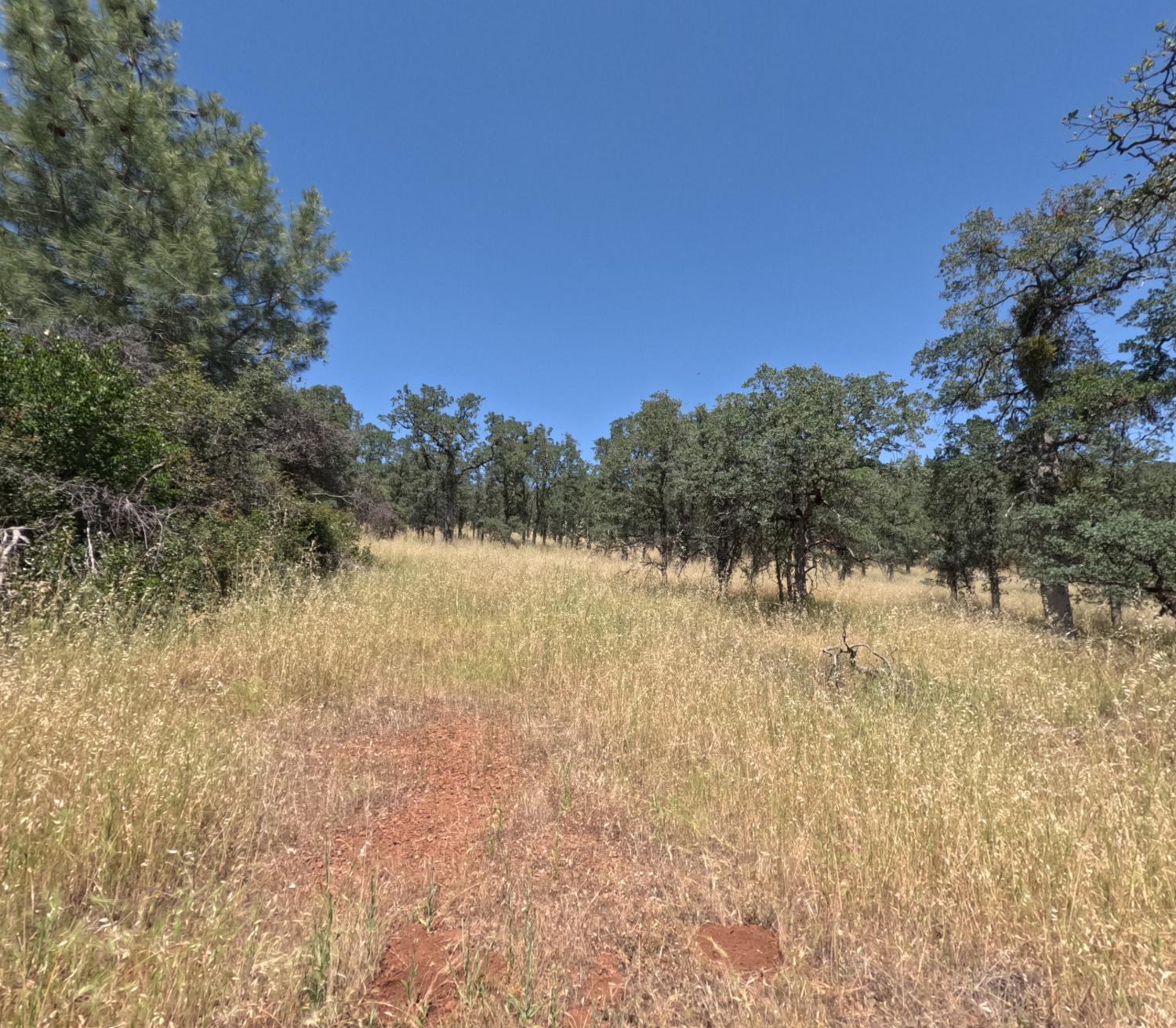 0 Hazen Road Manton, CA 96059 - Photo 2 of 11