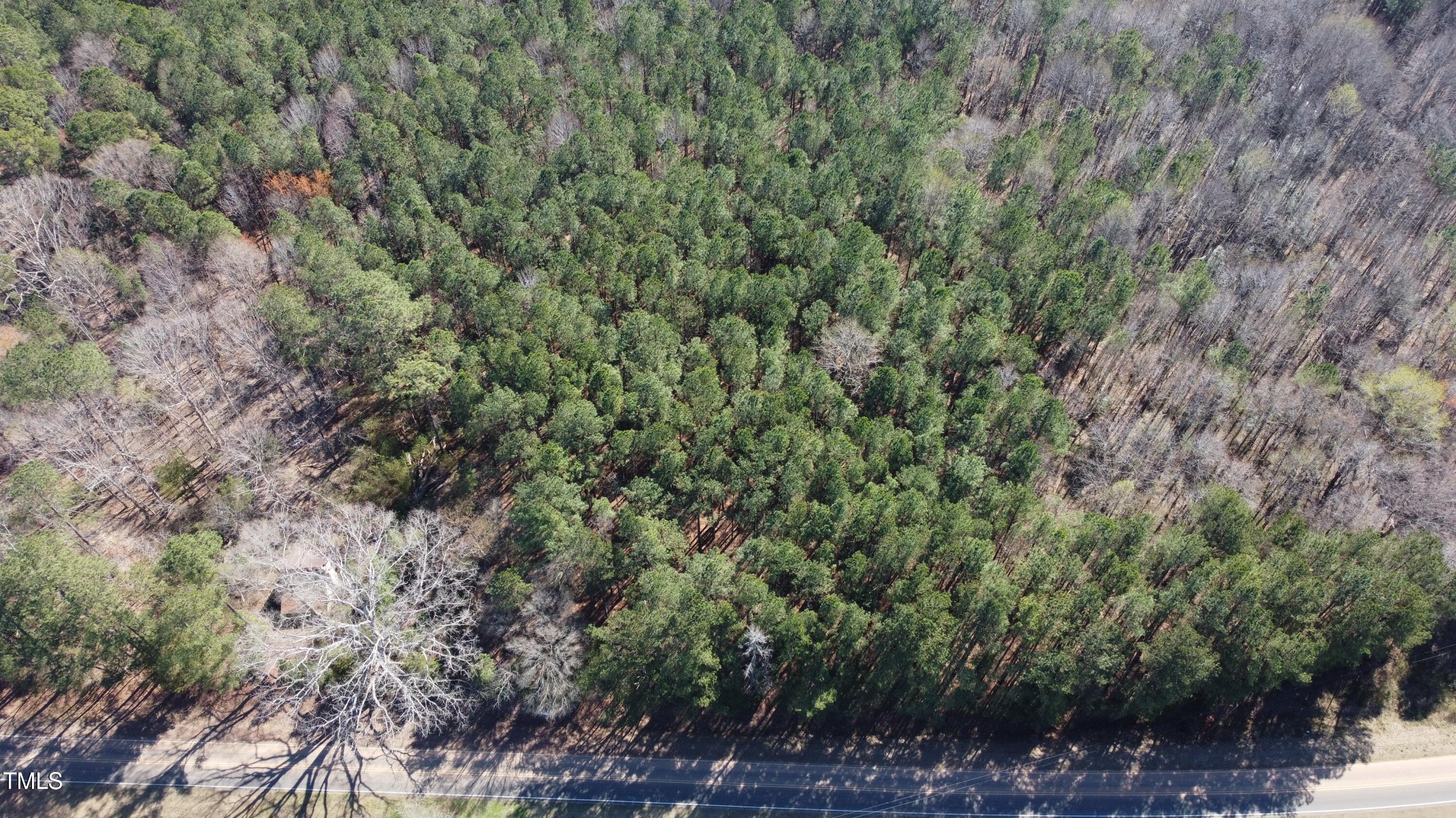 0 Reynolds Road Louisburg, NC 27549 - Photo 5 of 13 a view of a forest with large trees