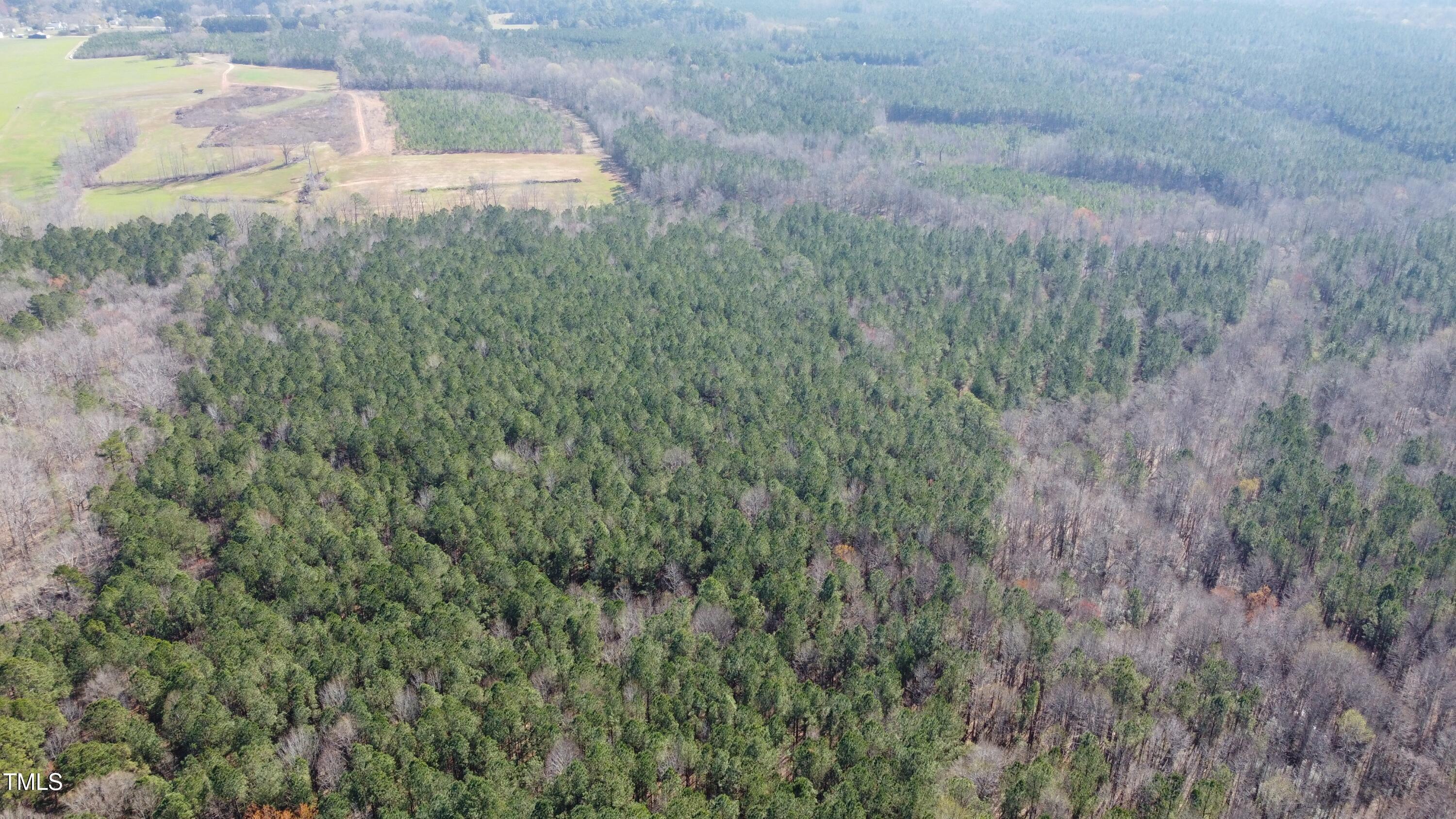 0 Reynolds Road Louisburg, NC 27549 - Photo 6 of 13 a view of a yard