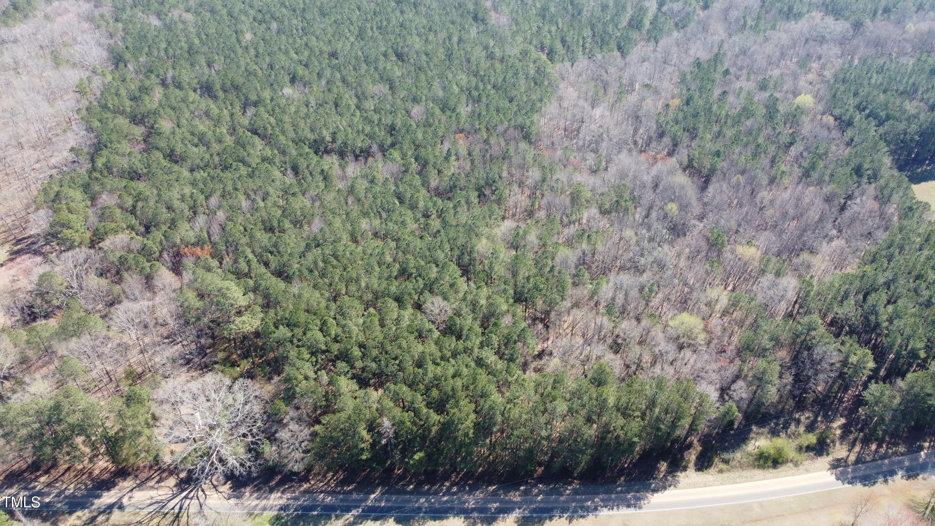 0 Reynolds Road Louisburg, NC 27549 - Photo 10 of 13 a view of a forest that has a tree
