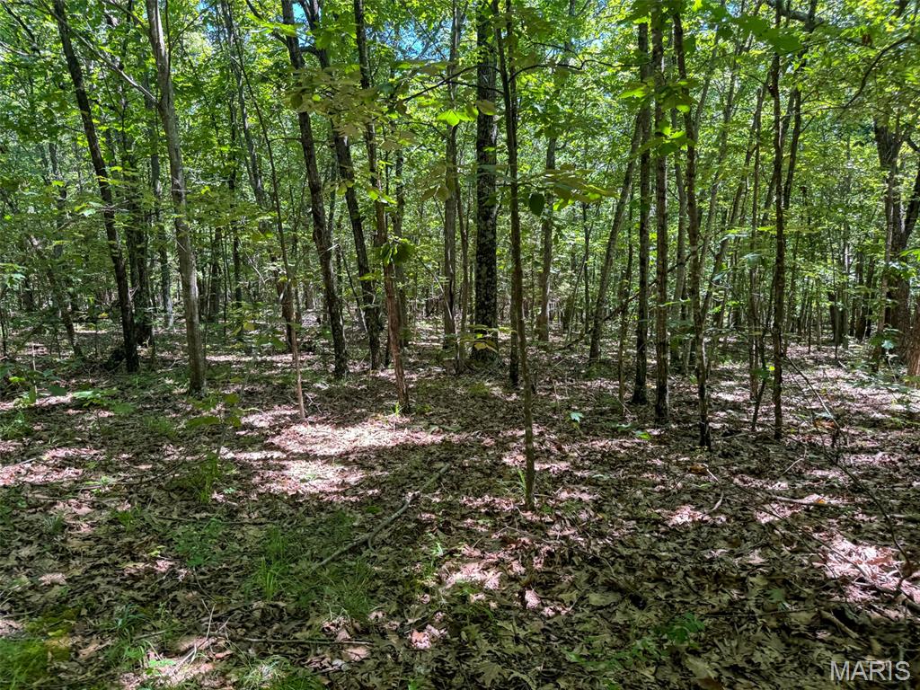2 King School Road Ironton, MO 63650 - Photo 23 of 28