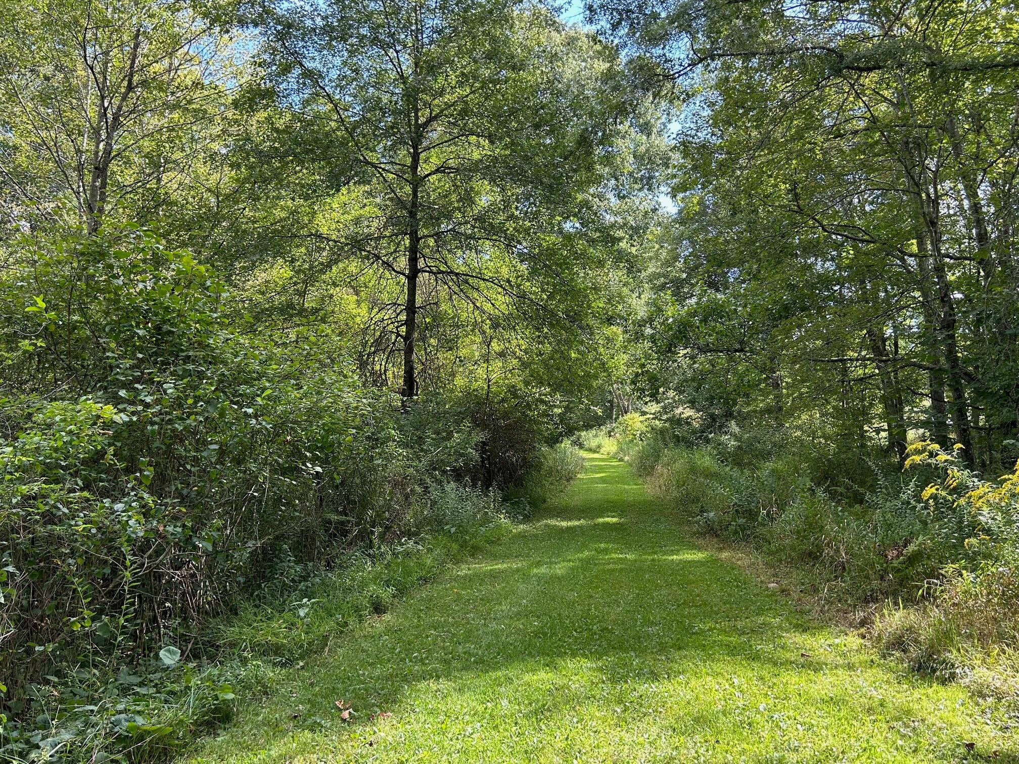 2871 Grassy Meadows Road Alderson, WV 24910 - Photo 12 of 92 Gallery Image 12