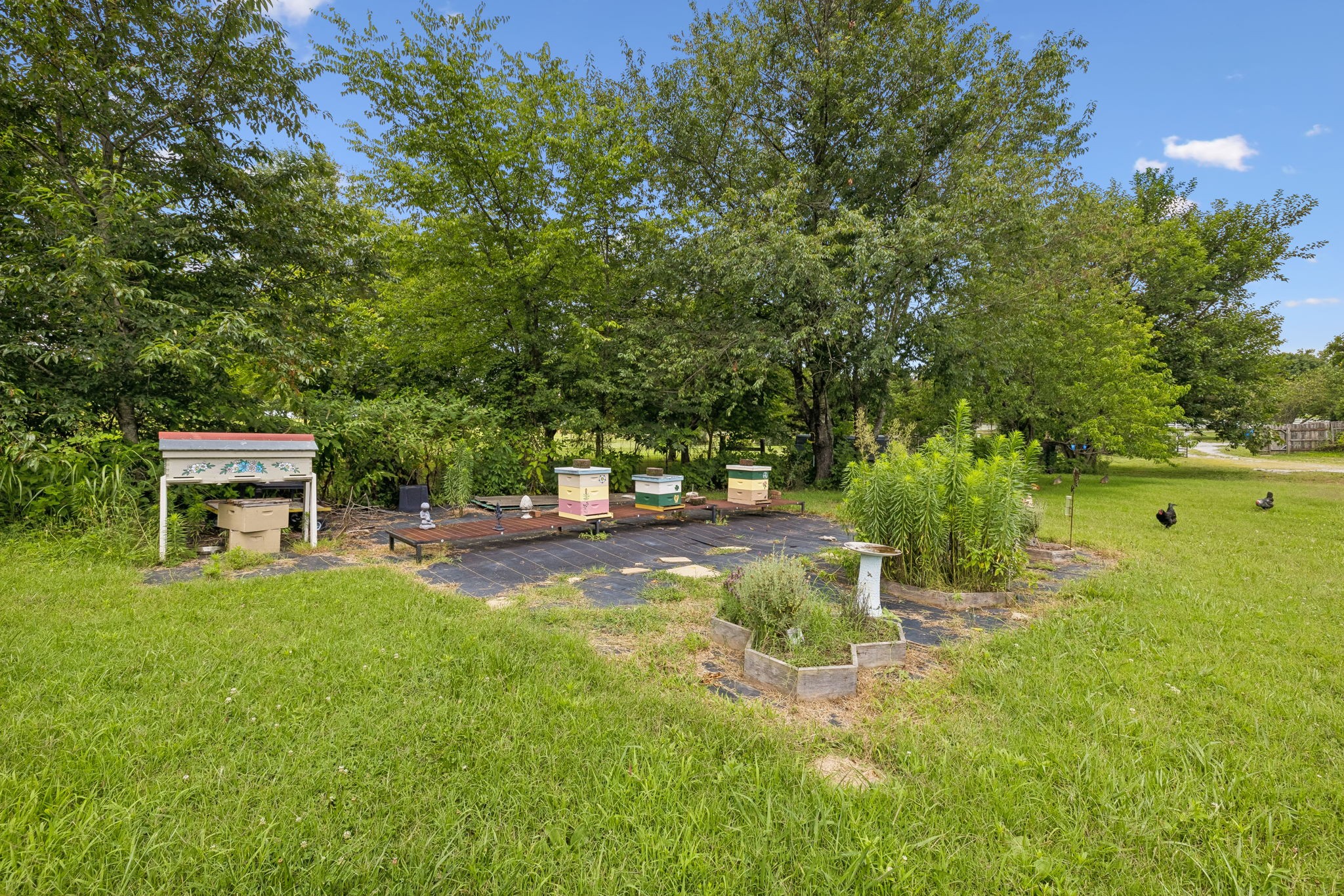 3384 Maxie Jones Road Springfield, TN 37172 - Photo 43 of 66