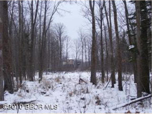 Tbd Pleasant Valley Road Northwest Puposky, MN 56667 - Photo 1 of 12 Gallery Image 1