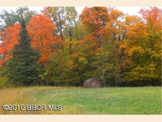 Tbd Pleasant Valley Road Northwest Puposky, MN 56667 - Photo 11 of 12 Gallery Image 11