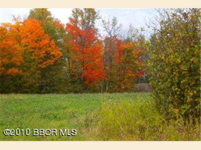 Tbd Pleasant Valley Road Northwest Puposky, MN 56667 - Photo 12 of 12 Gallery Image 12