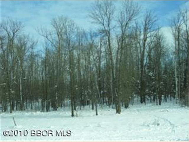 Tbd Pleasant Valley Road Northwest Puposky, MN 56667 - Photo 3 of 12 Gallery Image 3