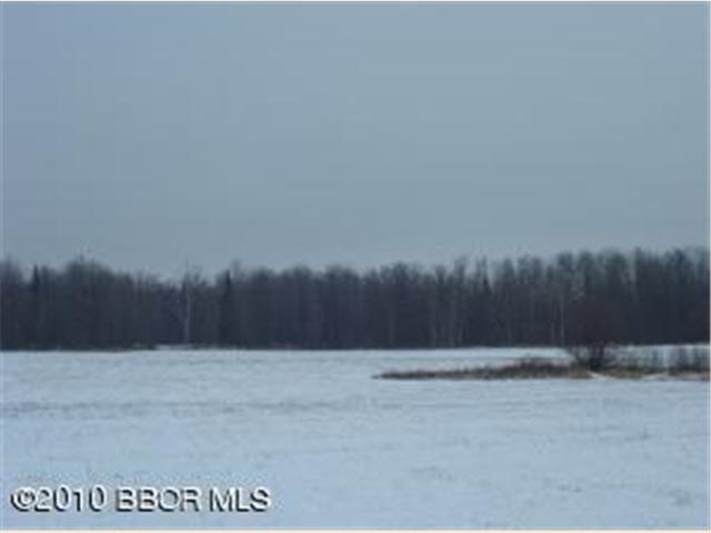 Tbd Pleasant Valley Road Northwest Puposky, MN 56667 - Photo 4 of 12 Gallery Image 4