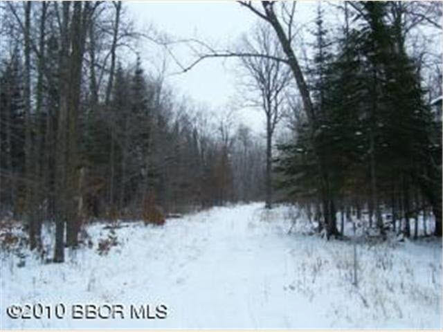 Tbd Pleasant Valley Road Northwest Puposky, MN 56667 - Photo 5 of 12 Gallery Image 5