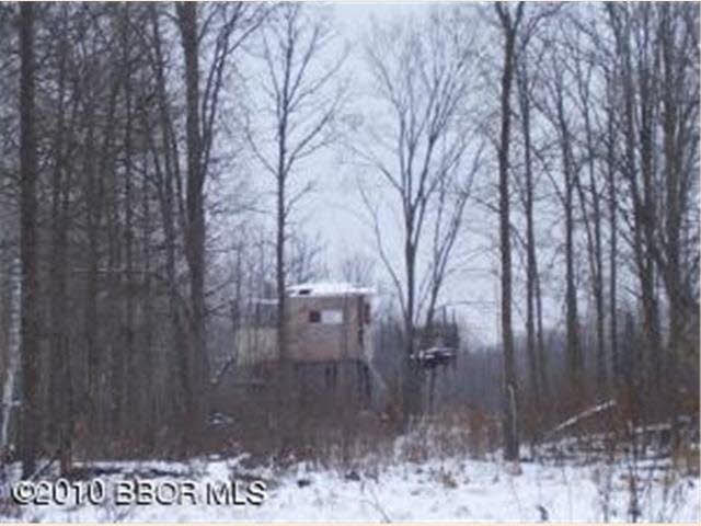 Tbd Pleasant Valley Road Northwest Puposky, MN 56667 - Photo 6 of 12 Gallery Image 6