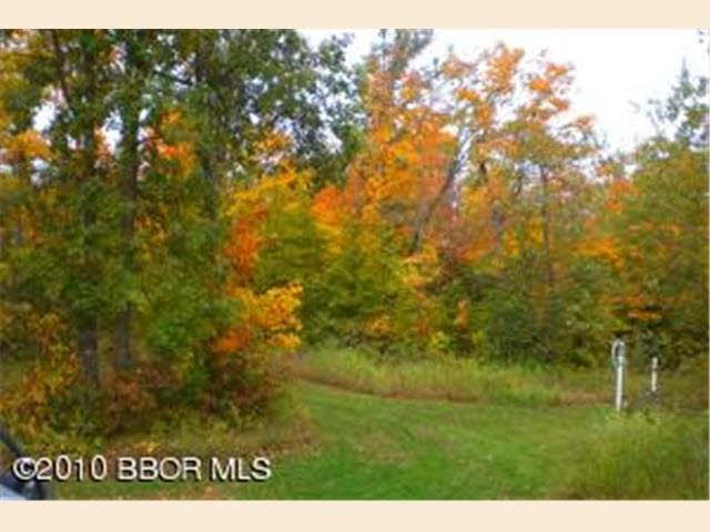 Tbd Pleasant Valley Road Northwest Puposky, MN 56667 - Photo 8 of 12 Gallery Image 8