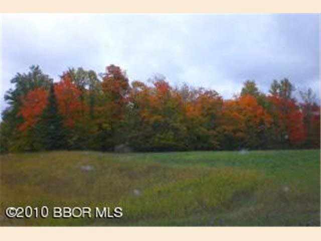 Tbd Pleasant Valley Road Northwest Puposky, MN 56667 - Photo 10 of 12 Gallery Image 10