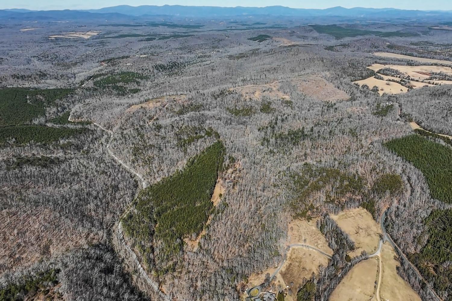 3171 Earley Farm Road Madison Heights, VA 24572 - Photo 14 of 42 a view of a dry field with trees in background