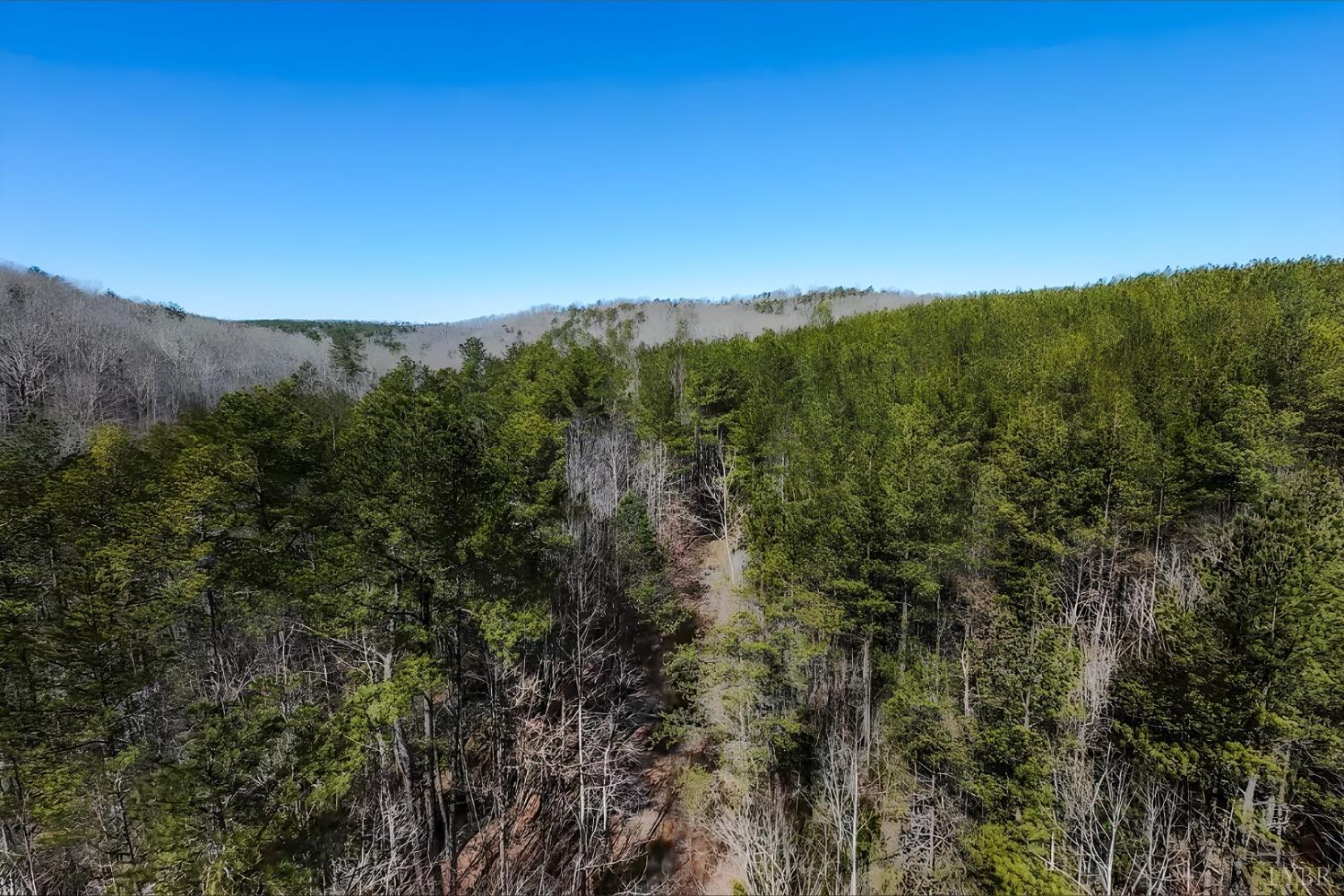 3171 Earley Farm Road Madison Heights, VA 24572 - Photo 15 of 42 a view of a city with lush green forest