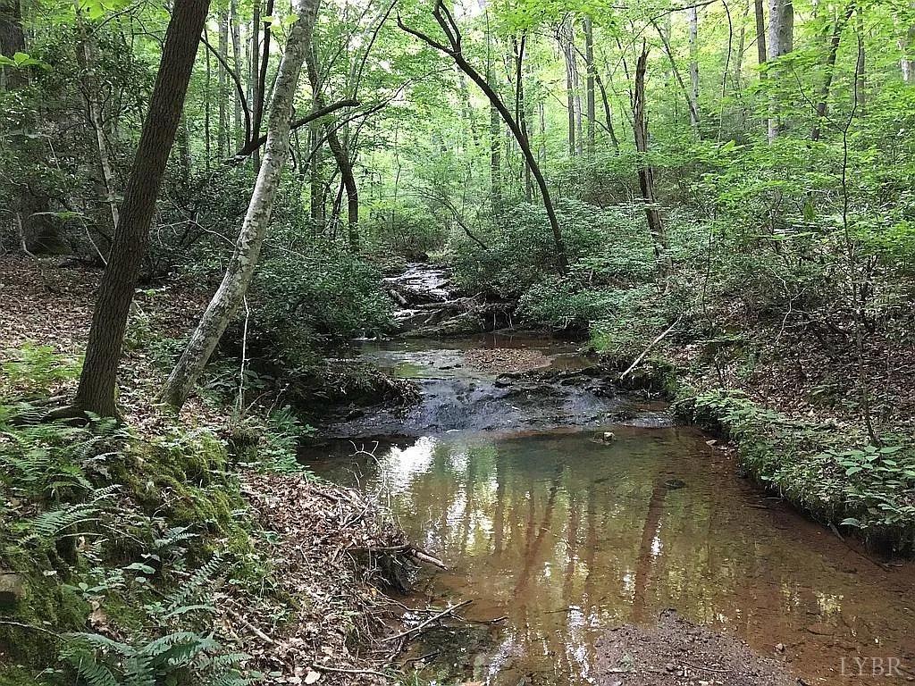 3171 Earley Farm Road Madison Heights, VA 24572 - Photo 16 of 42 a view of lake