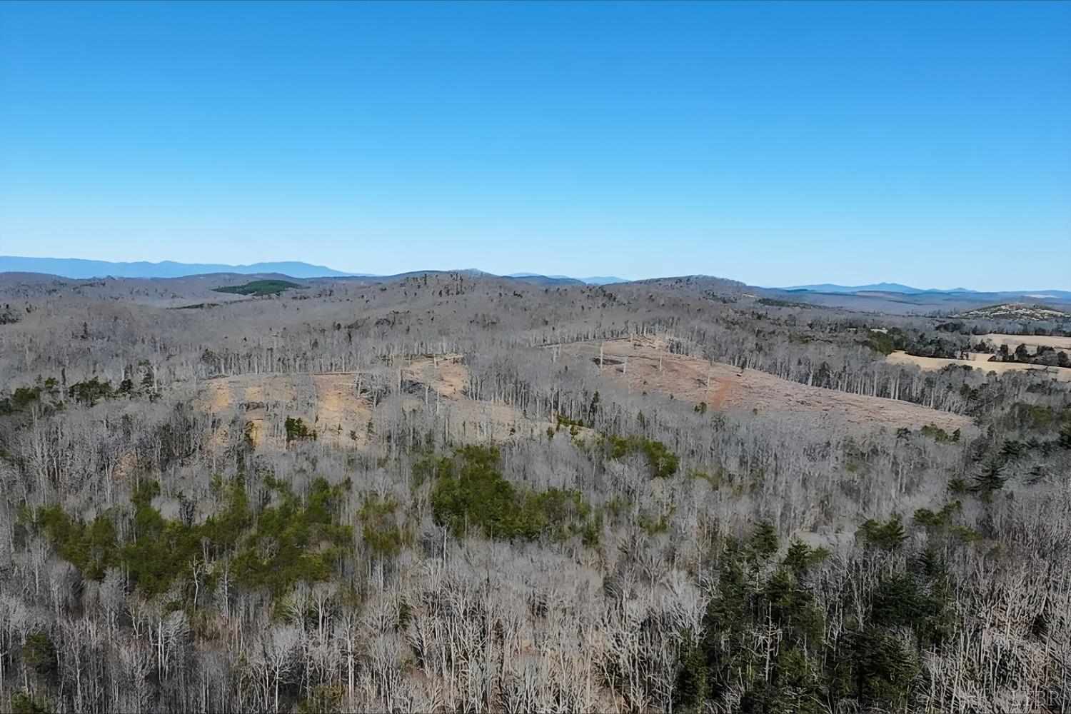 3171 Earley Farm Road Madison Heights, VA 24572 - Photo 18 of 42 a view of a dry field