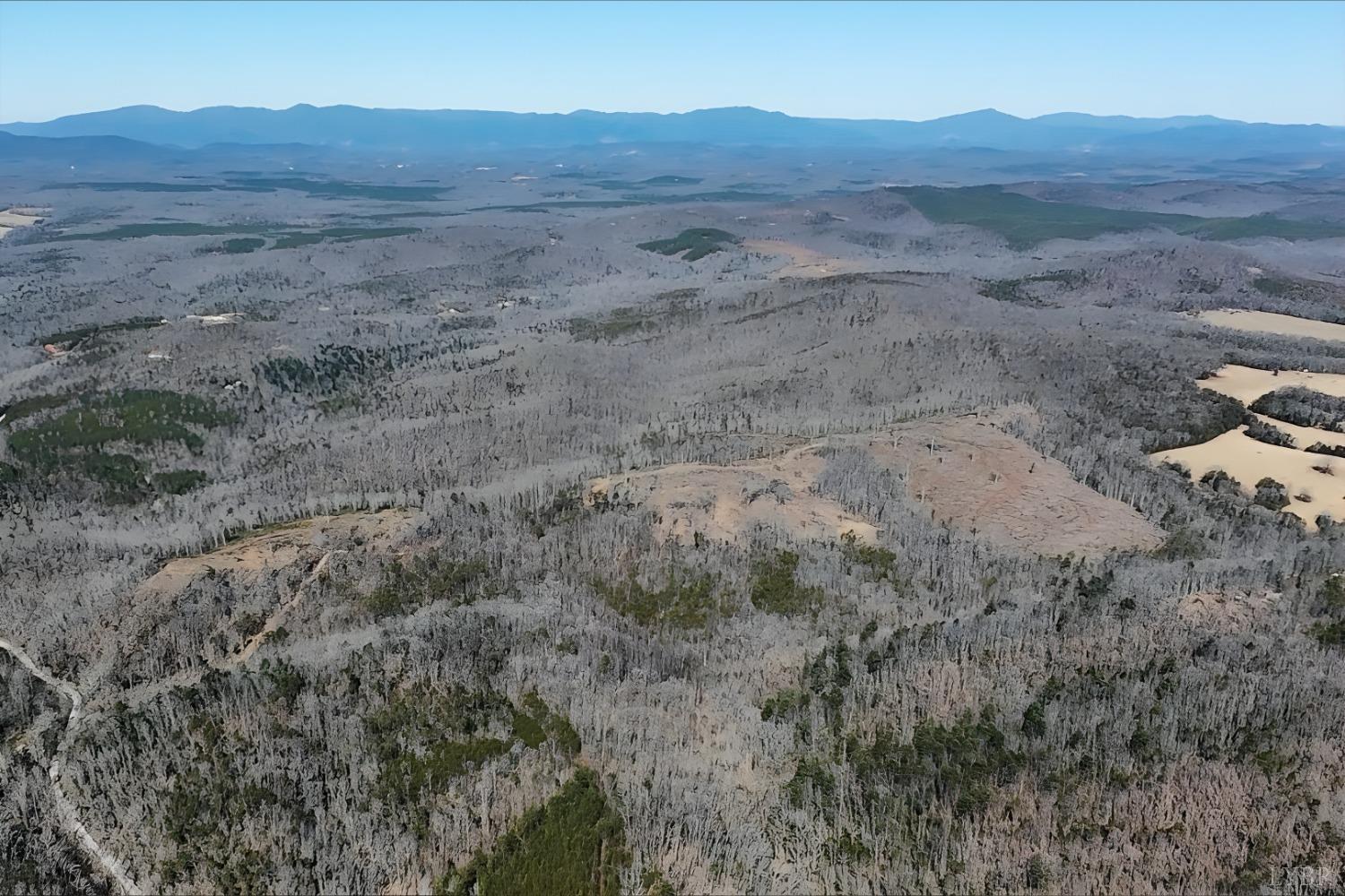 3171 Earley Farm Road Madison Heights, VA 24572 - Photo 19 of 42 a view of a dry field with mountains in the background