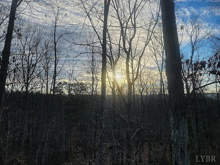 3171 Earley Farm Road Madison Heights, VA 24572 - Photo 23 of 42 a view of trees in a yard