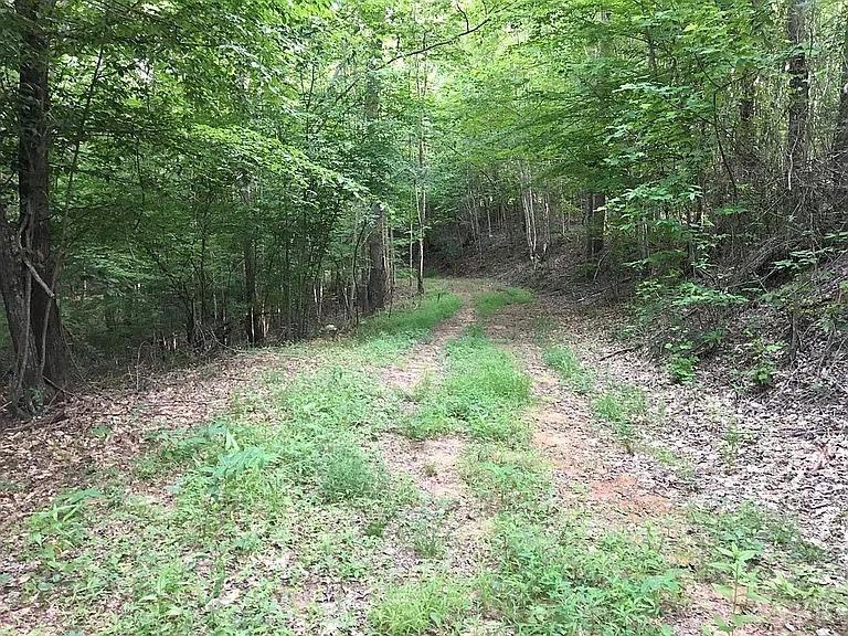3171 Earley Farm Road Madison Heights, VA 24572 - Photo 25 of 42 a view of backyard with green space