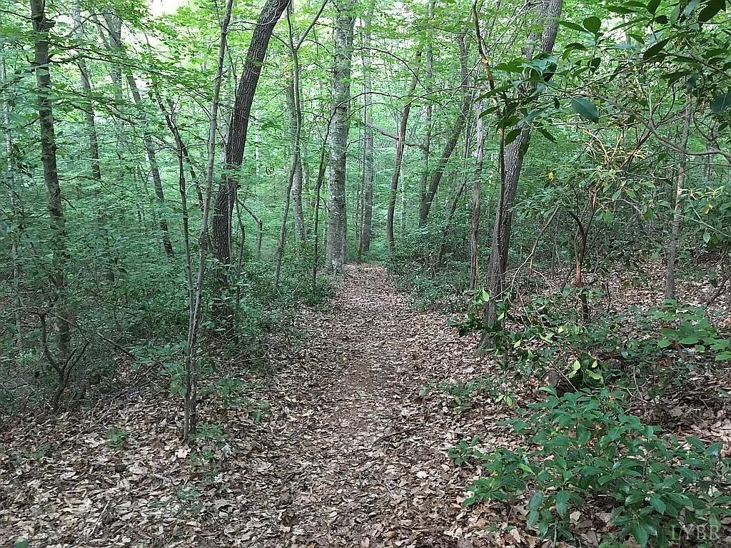 3171 Earley Farm Road Madison Heights, VA 24572 - Photo 27 of 42 a view of a forest with trees in the background