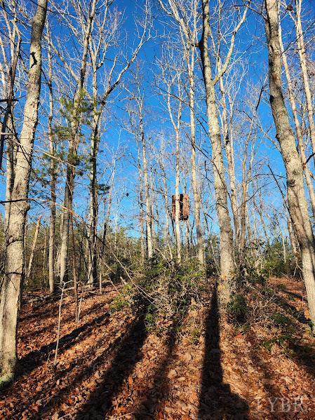 3171 Earley Farm Road Madison Heights, VA 24572 - Photo 28 of 42 a backyard of a house