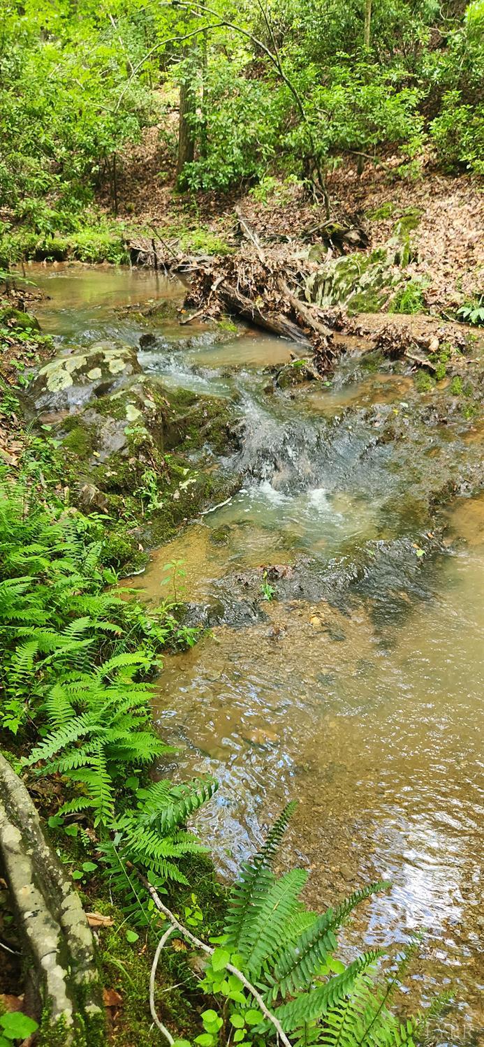 3171 Earley Farm Road Madison Heights, VA 24572 - Photo 29 of 42 a view of ocean view