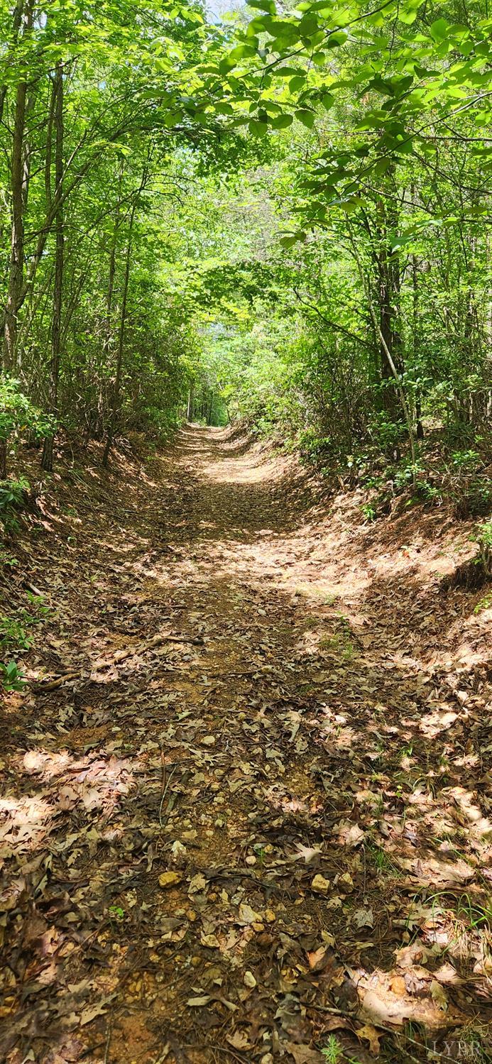3171 Earley Farm Road Madison Heights, VA 24572 - Photo 33 of 42 a view of a yard with an outdoor space