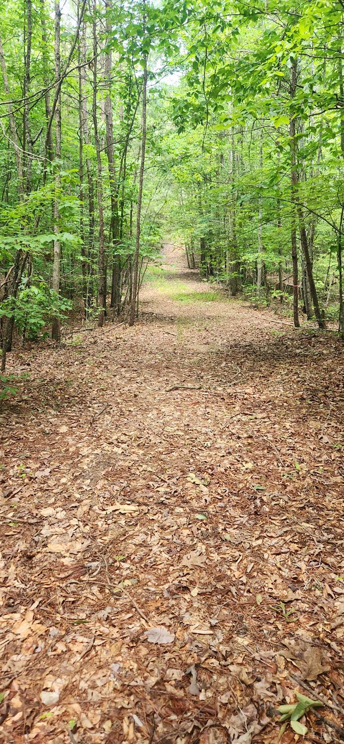 3171 Earley Farm Road Madison Heights, VA 24572 - Photo 34 of 42 a view of outdoor space and yard