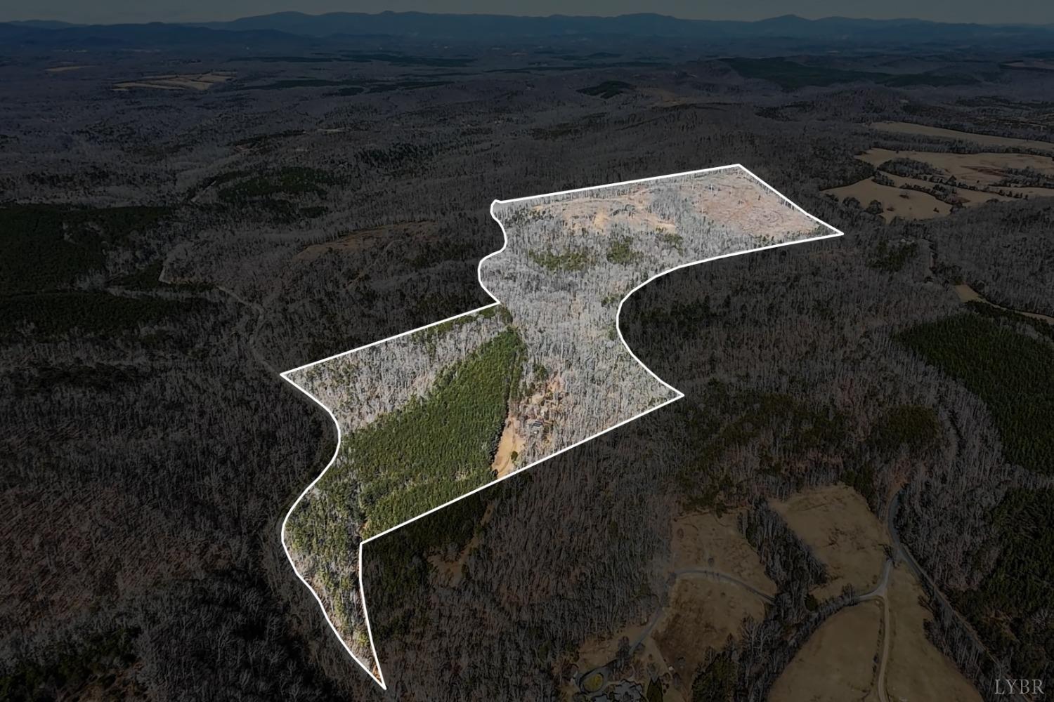 3171 Earley Farm Road Madison Heights, VA 24572 - Photo 4 of 42 a wooden floor in a room