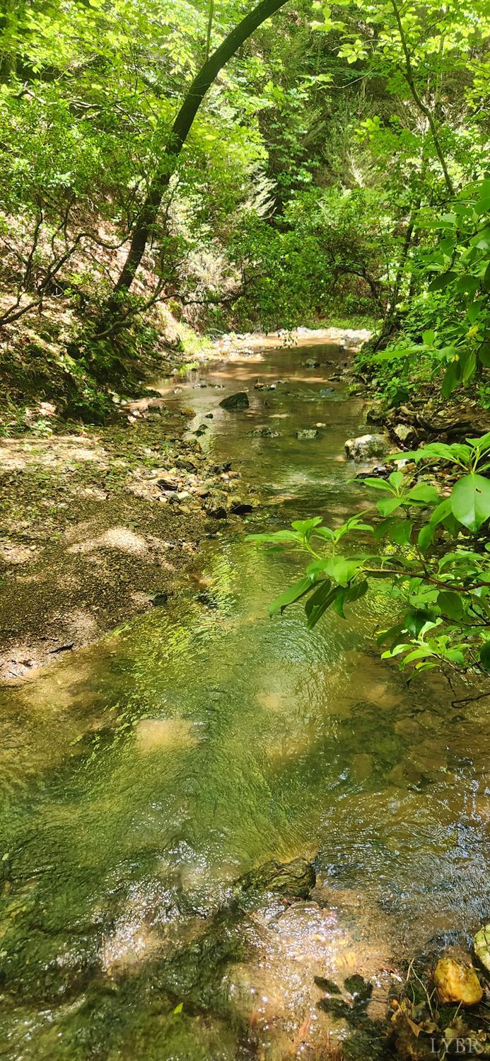 3171 Earley Farm Road Madison Heights, VA 24572 - Photo 5 of 42 a view of an ocean