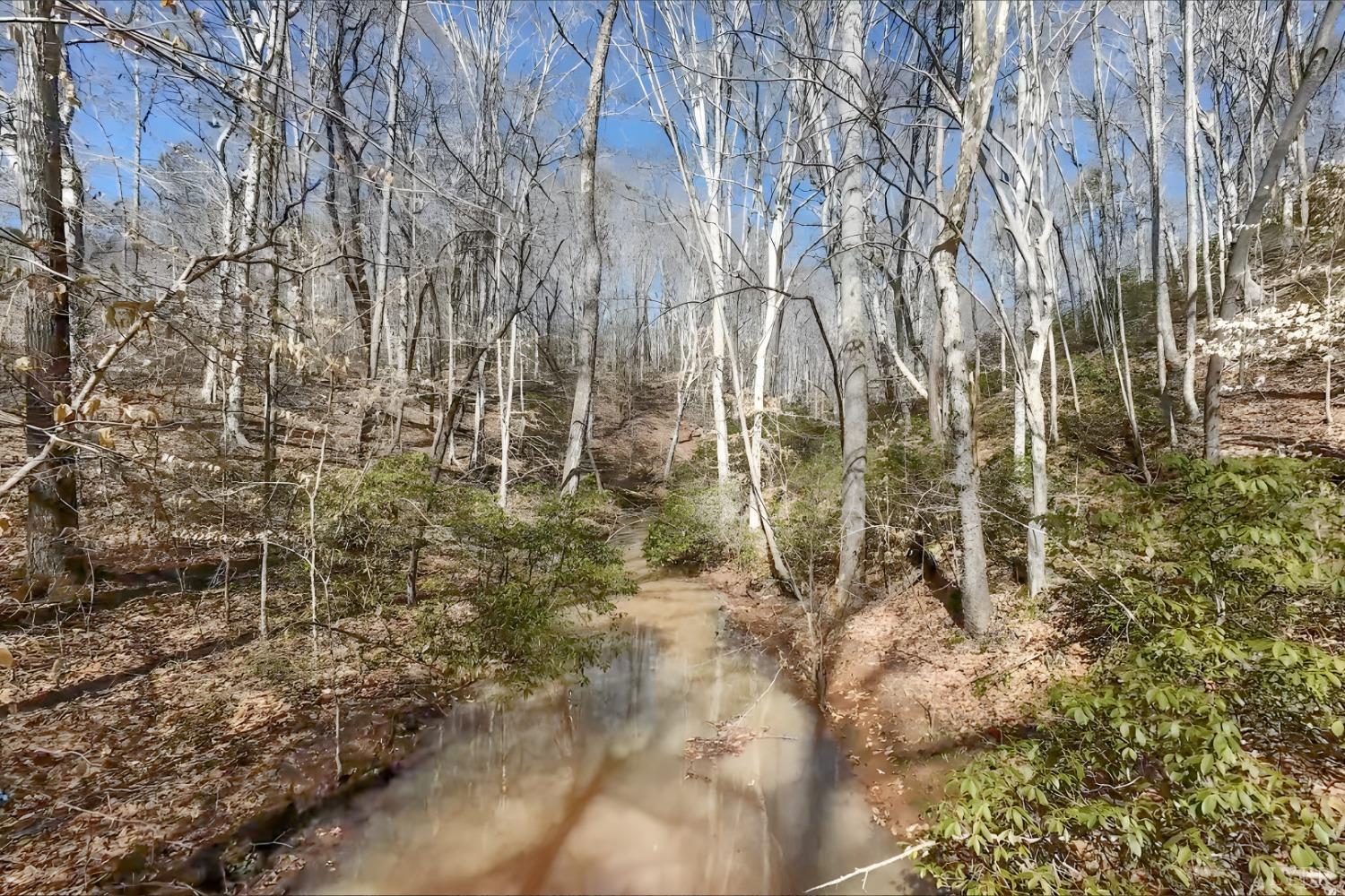 3171 Earley Farm Road Madison Heights, VA 24572 - Photo 6 of 42 a view of a yard with plants and trees