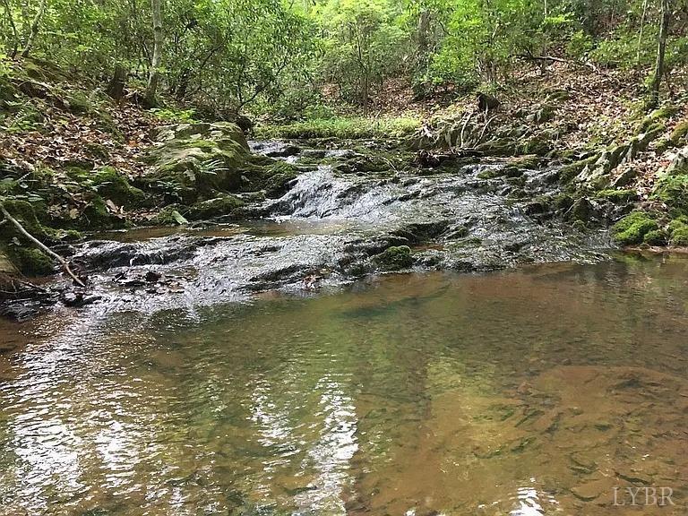 3171 Earley Farm Road Madison Heights, VA 24572 - Photo 7 of 42 a view of a lake view
