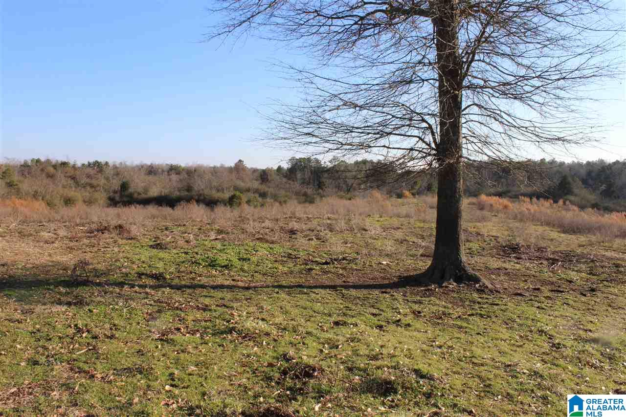 3601 Brookside Road Brilliant, AL 35548 - Photo 20 of 33
