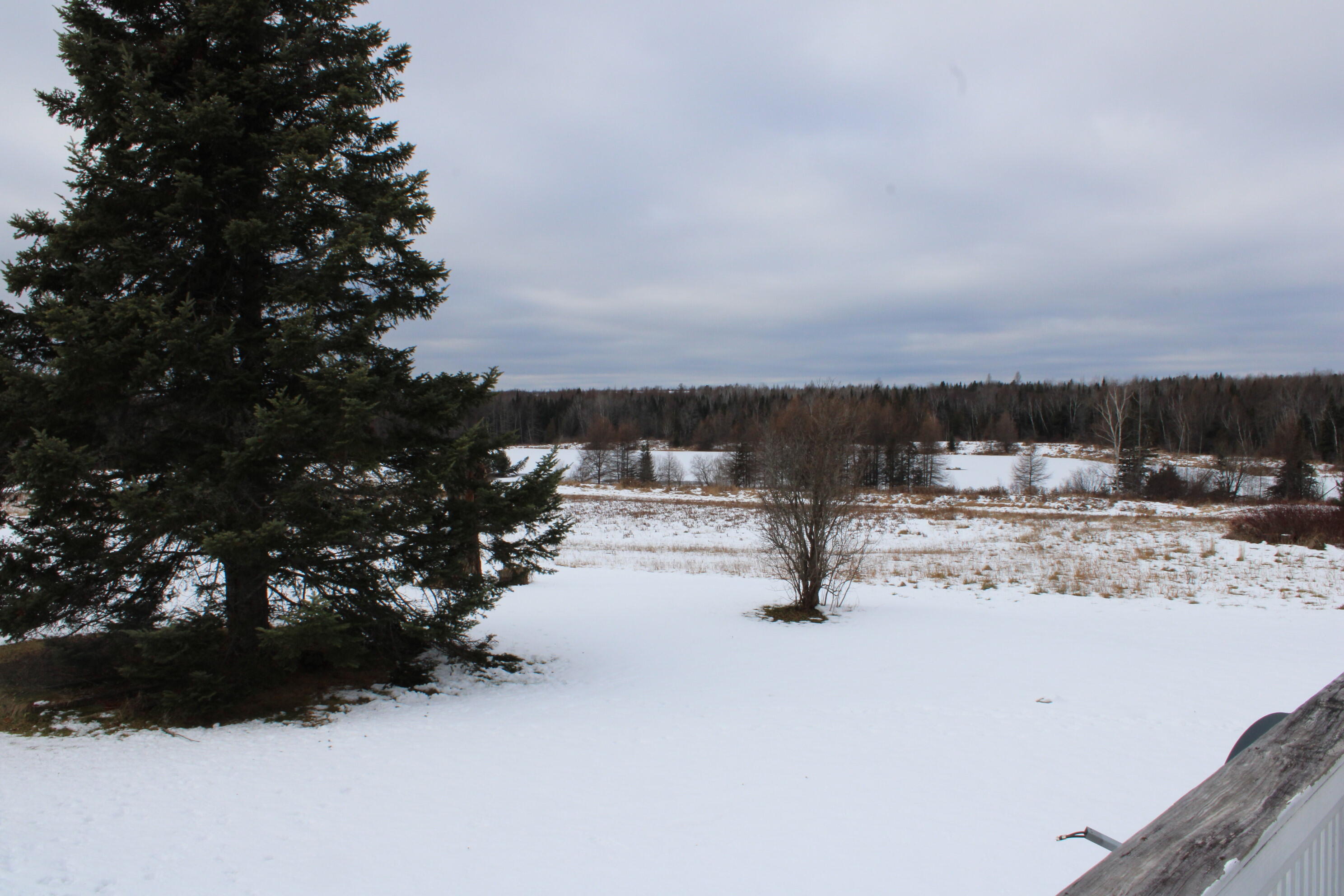 385 Carson Road Woodland, ME 04736 - Photo 6 of 36 IMG_0905