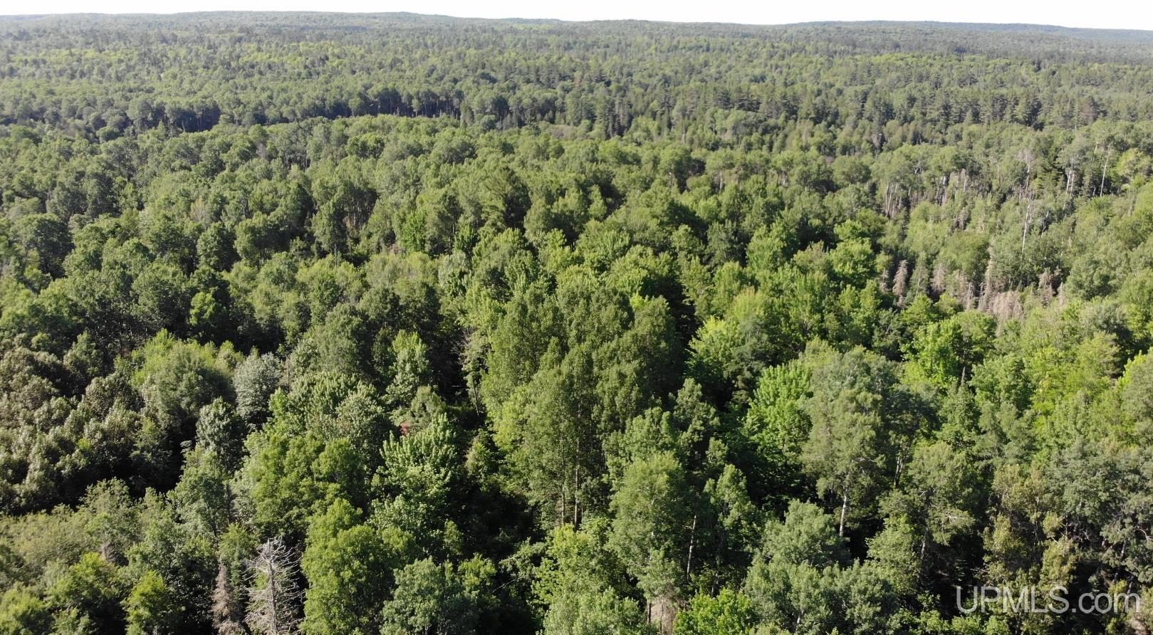 7349 East Old M28 Road Trout Creek, MI 49967 - Photo 40 of 48