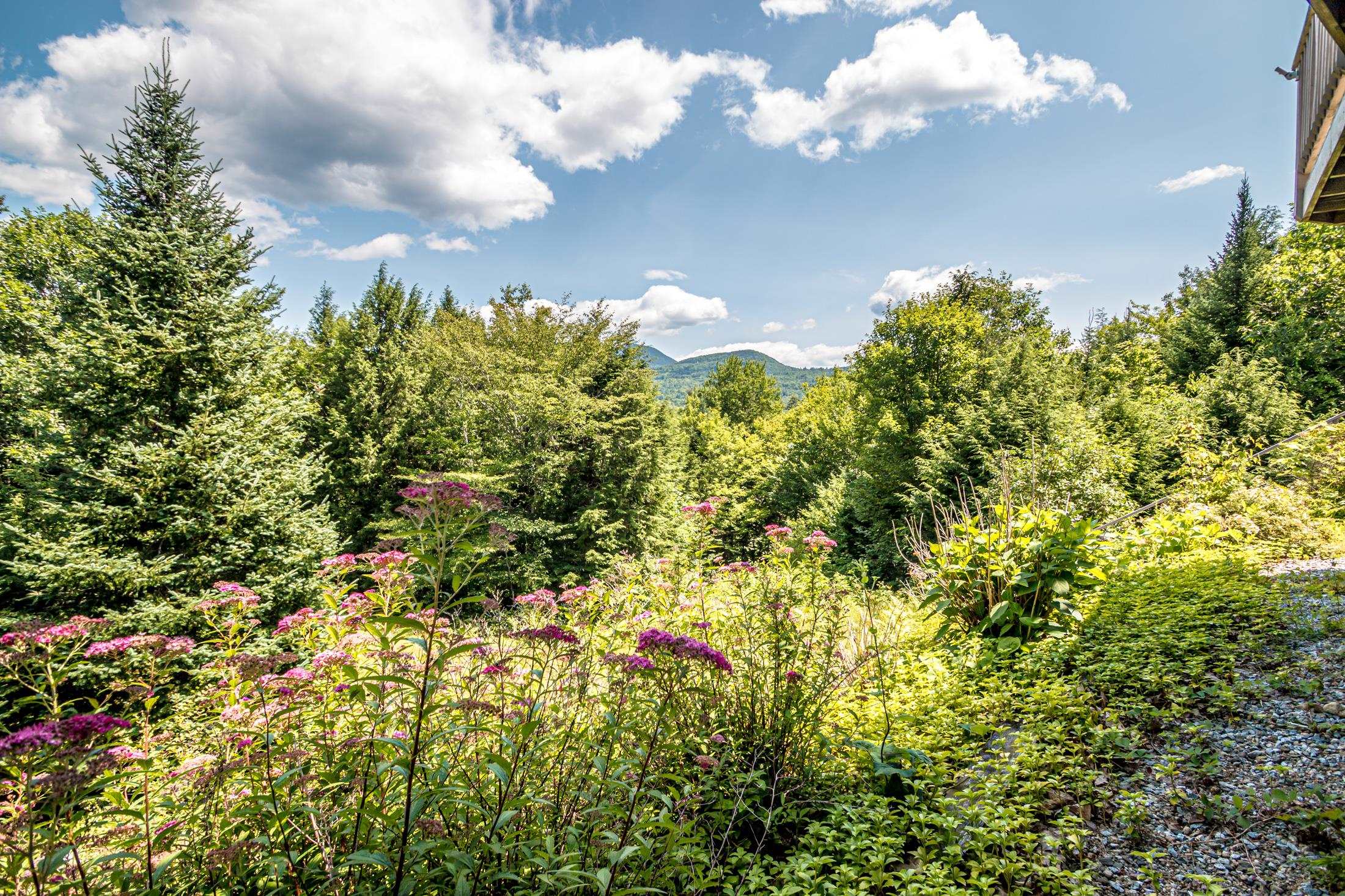 29 Hemlock Hill Road Jackson, NH 03846 - Photo 44 of 59 Gallery Image 44