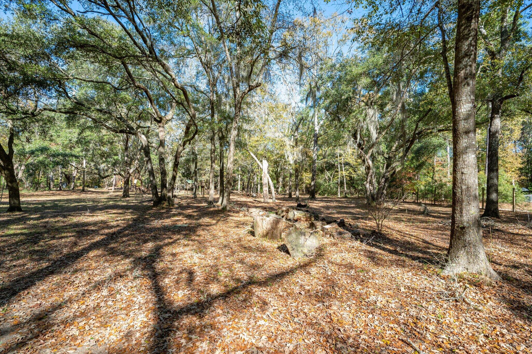 3788 Benjamin Road Johns Island, SC 29455 - Photo 16 of 17 39-Benjamin_e_Lowcountry_Exposure-18