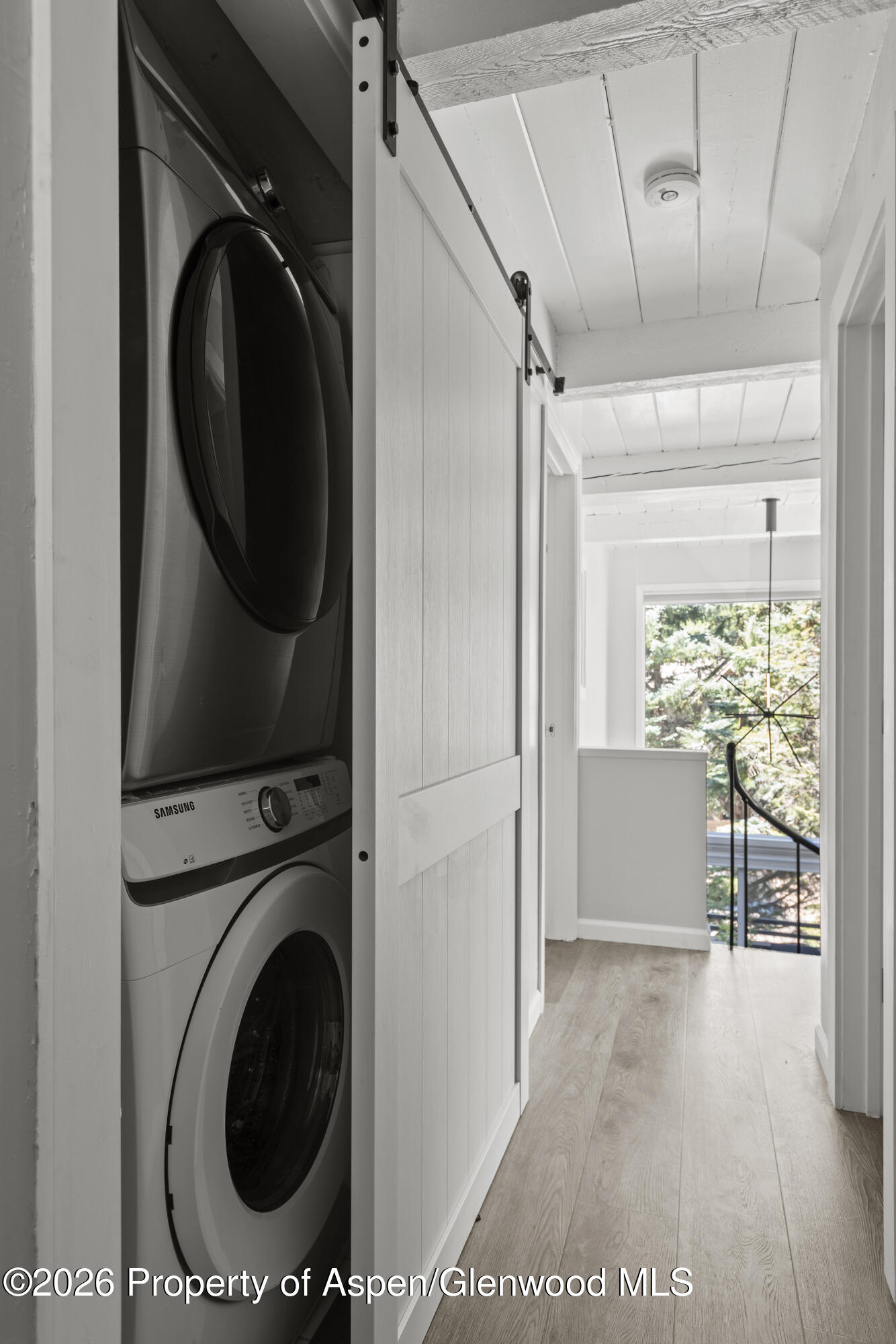 1024 East Cooper Avenue, Unit 2 Aspen, CO 81611 - Photo 23 of 25 Laundry