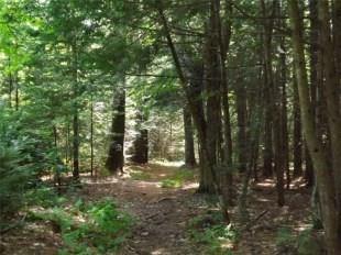 278 Middle Ridge Road Bridgton, ME 04009 - Photo 12 of 32 Photo