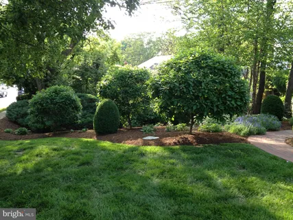 a view of a back yard