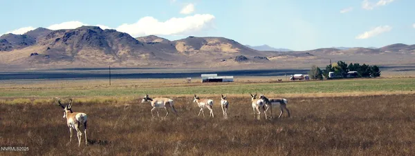 a view of a lake with a mountain in the background