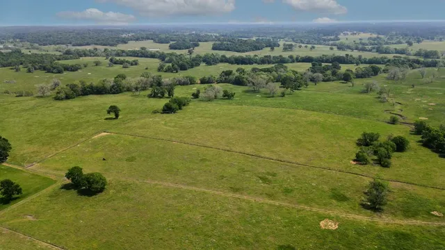 a view of a big yard