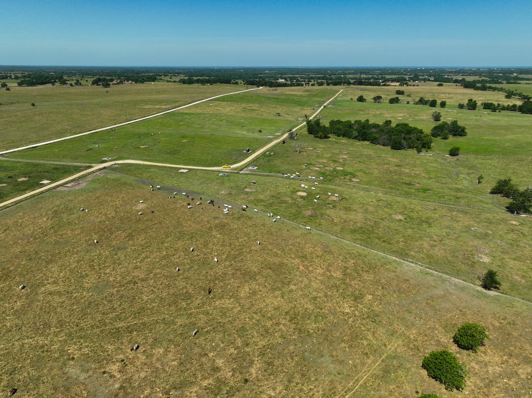 305 Rd Navasota Tx 77868 Road Navasota, TX 77868 - Photo 3 of 9