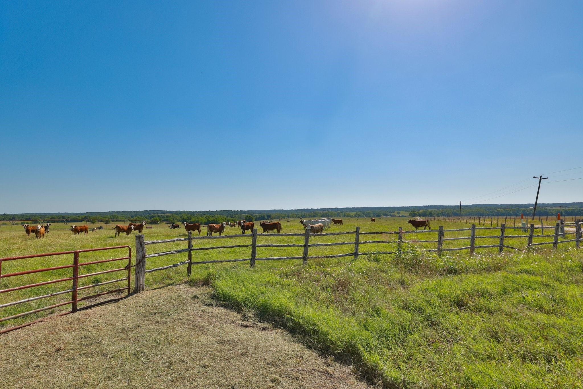 305 Rd Navasota Tx 77868 Road Navasota, TX 77868 - Photo 9 of 9