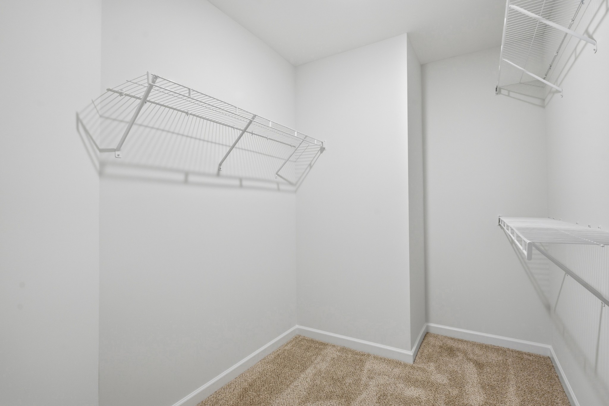 4015 Colleton Lane Murfreesboro, TN 37153 - Photo 17 of 34