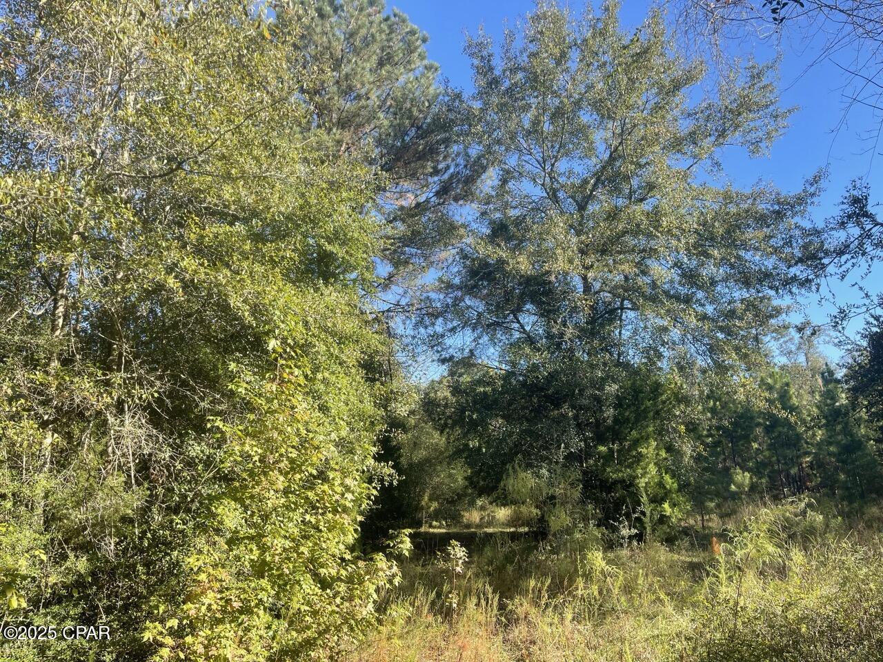 0 Arrant Road Westville, FL 32464 - Photo 15 of 28