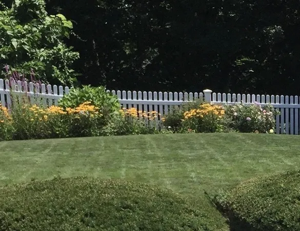 a view of a bunch of green space